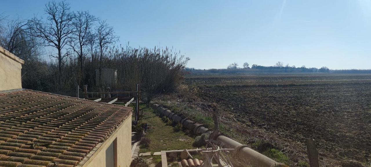 Appartement Au Coeur Des Rizieres Salin-de-Giraud Ngoại thất bức ảnh