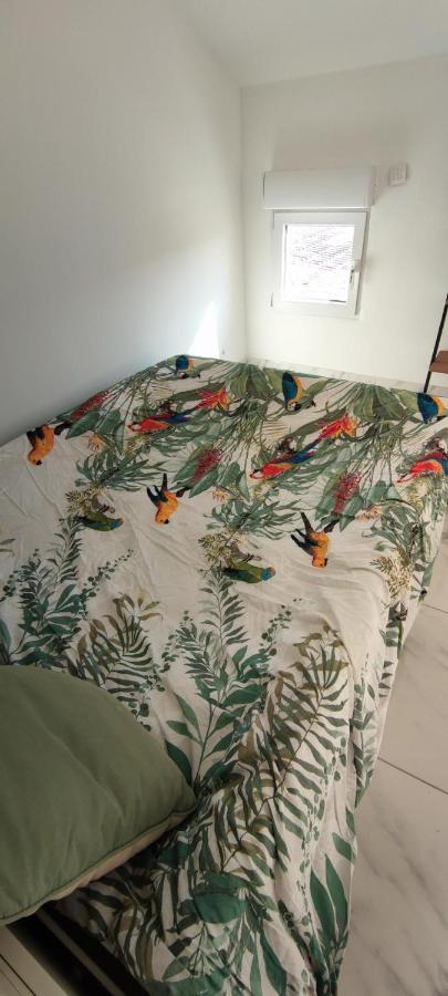 Appartement Au Coeur Des Rizieres Salin-de-Giraud Ngoại thất bức ảnh